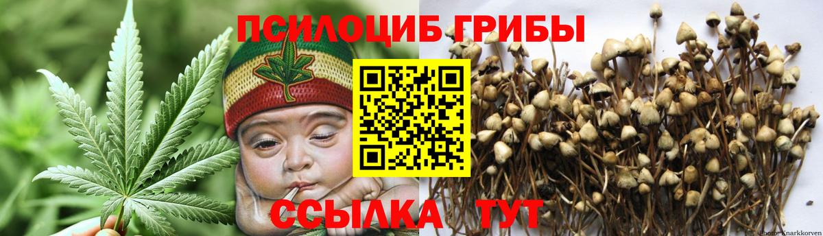 цены наркотик  Вход с VPN  Саров  Галлюциногенные грибы прущие грибы 